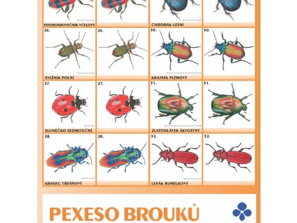 pexeso brouci kopie f2362