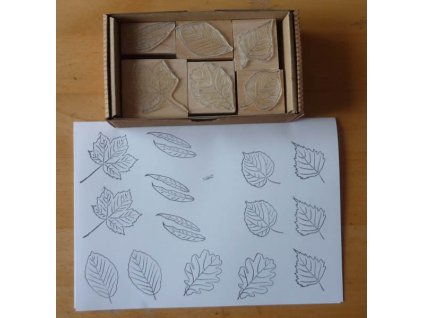 Razítka - sada: Listy listnatých stromů (6ks)