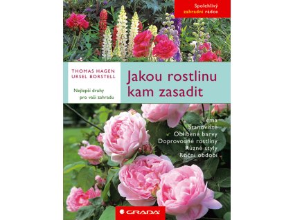 Jakou rostlinu kam zasadit