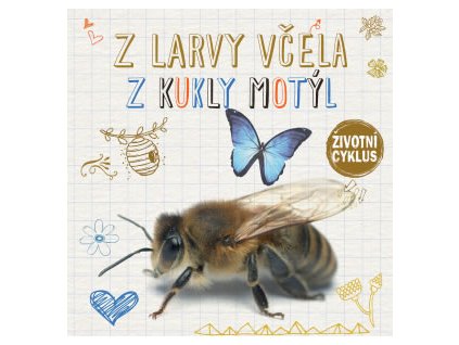 Z larvy včela, z kukly motýl - Životní cyklus