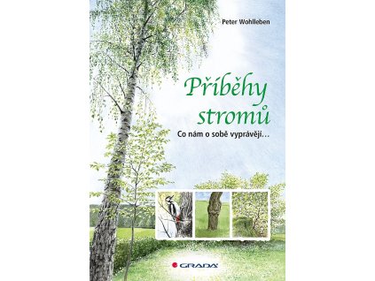 big pribehy stromu sQg 358078