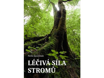 Léčivá síla stromů