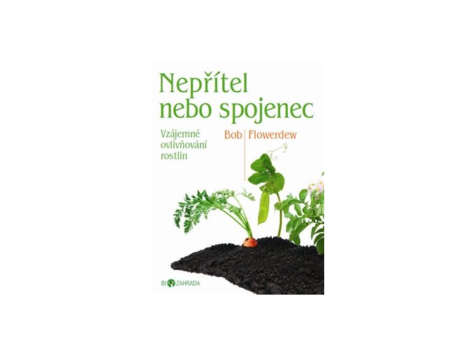 Nepřítel, nebo spojenec