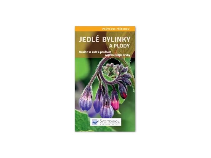 Jedlé bylinky a plody