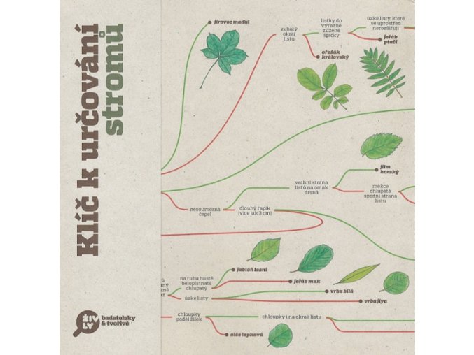 Klíč k určování stromů