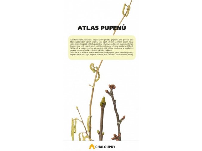 Atlas pupenů