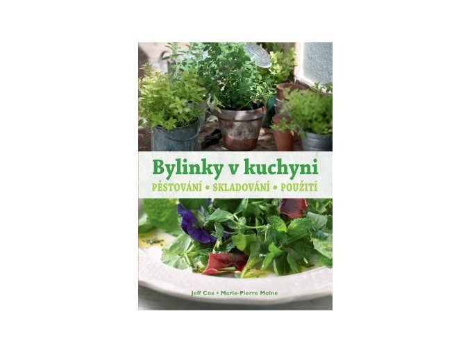 Bylinky v kuchyni