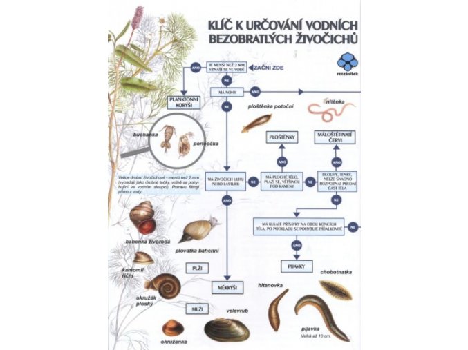 klic k urcovani vodnich bezobratlych 01