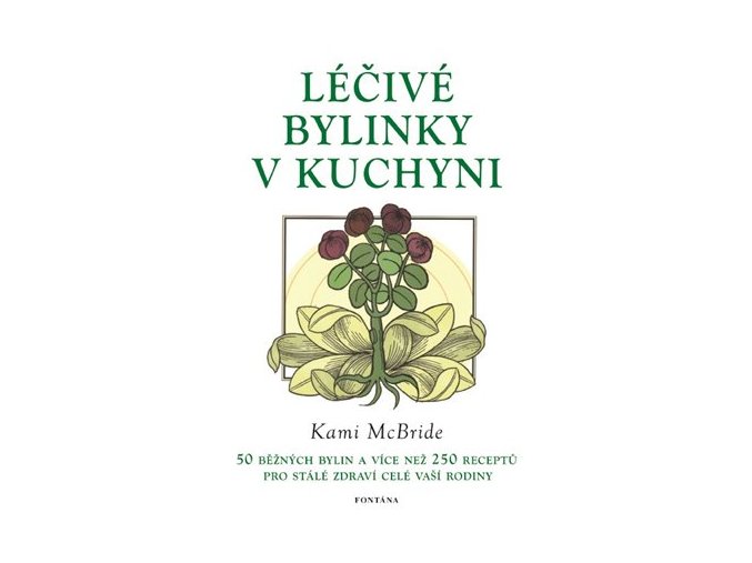 Léčivé bylinky v kuchyni