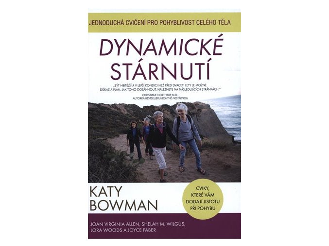 Dynamické stárnutí