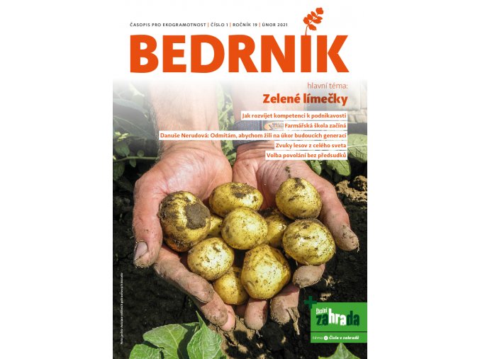 bedrnik 01 2021