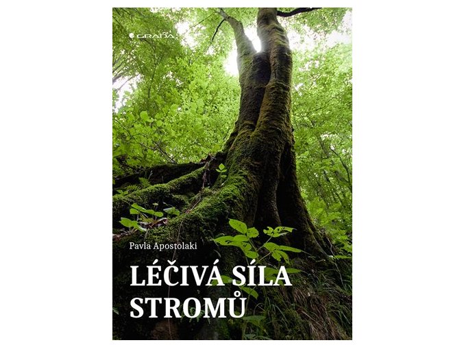 Léčivá síla stromů