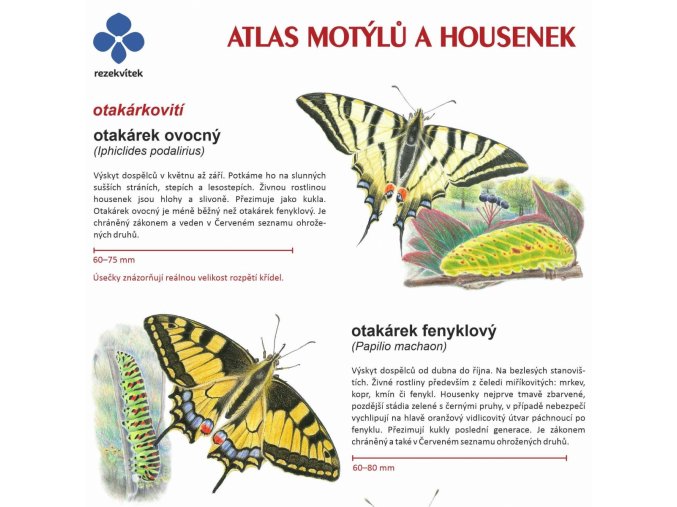 atlas motylu2022 kopie f1025
