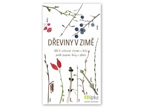 dreviny v zime 01 f23143