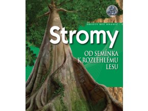 Stromy - Od semínka k rozlehlému lesu