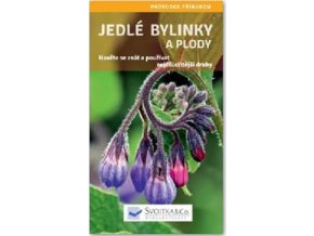 Jedlé bylinky a plody