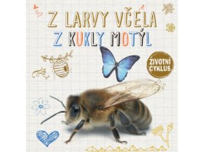 Z larvy včela, z kukly motýl - Životní cyklus