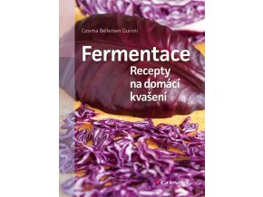 fermentace recepty na domaci kvaseni