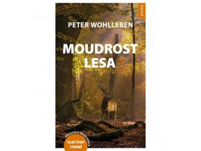 moudrost lesa