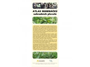 Atlas semenáčků zahradních plevelů