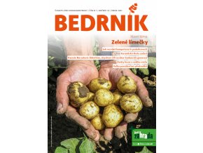 bedrnik 01 2021