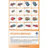 pexeso brouci f2363