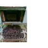 Trocha kompostu ponechaná v komoře pro naočkování nově vkládaného bioodpadu