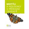 Motýli a housenky v přírodní zahradě - vějíř