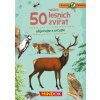 Expedice příroda: 50 našich lesních zvířat