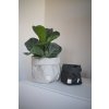 Small home bag Black ekonetka 2