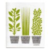 jangneus zerowaste ekologia hubka zelene bylinky