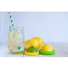 FoodHuggers Citrus Water Mason Jar
