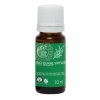 Eukalyptus esenciálny olej Bio, Tierra Verde, 10ml
