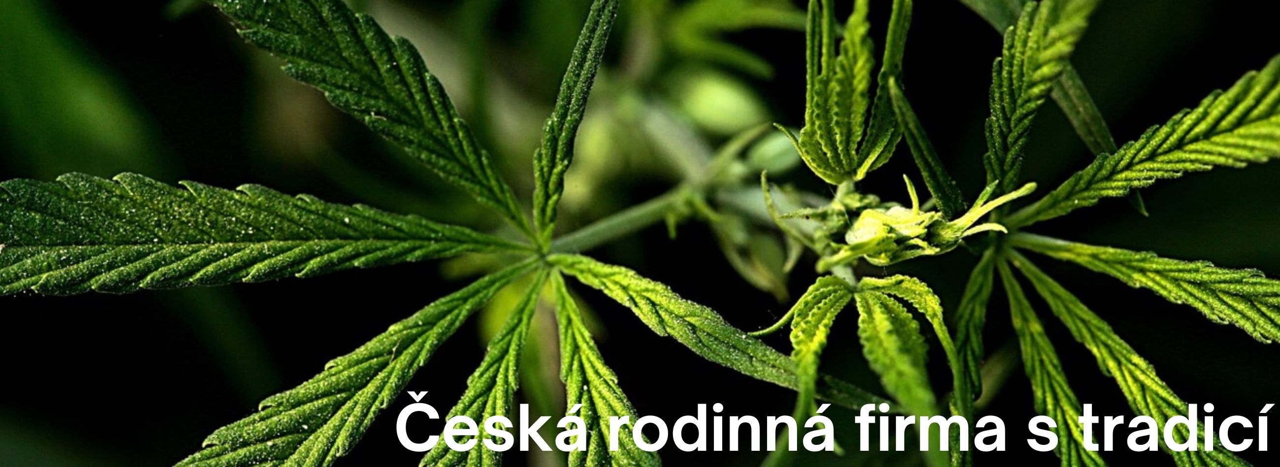 Hemp Production s.r.o.