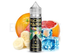 Pacha Mama - Citrus Monkey ICE - Shake and Vape - 20ml