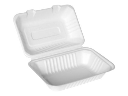 Menu box 1-dílný BIO cukrová třtina 230x155x65mm (50ks)