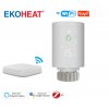 EKOHEAT hlavice a Gateway Zigbee Wifi kopie (4)