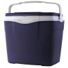 Box chladicí Antarctica 32l fialový 4