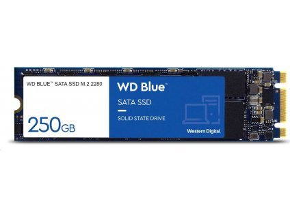 WD BLUE SSD 3D NAND WDS100T3B0B 1TB SA510 M.2, (R:560, W:520MB/s)