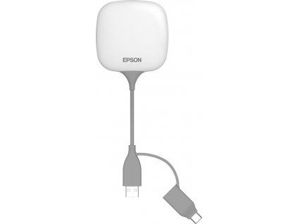 EPSON ELPWP10 - Wireless Presentation System