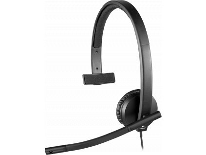 Logitech Headset H570e Mono,USB