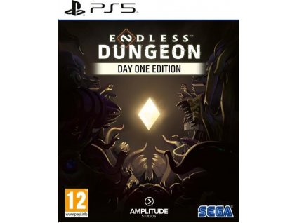 PS5 hra Endless Dungeon Day One Edition