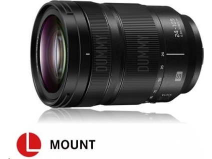 Panasonic LUMIX S 24-105 mm F4 MACRO O.I.S.