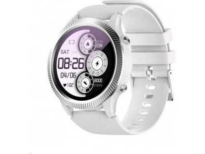 CARNEO Athlete GPS silver