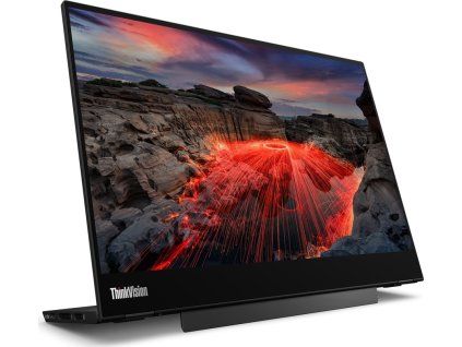 ThinkVision M14t 11 s
