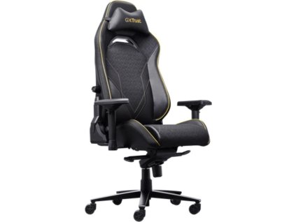 TRUST herní židle GXT 721 RUYA Pro Premium, černá