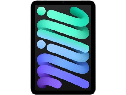 Apple iPad mini/(2024) Wi-Fi + Cellular/8,3"/2266x1488/256GB/iPadOS18/Space Gray