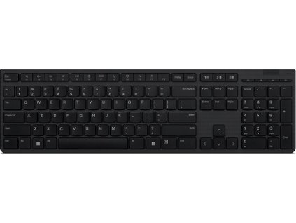 Lenovo Professional/Bezdrátová USB + Bluetooth/CZ-SK layout/Šedá