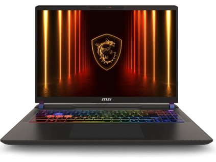 MSI Vector/16 HX AI A2XWHG-446XCZ/U9-275HX/16"/2560x1600/32GB/1TB/RTX 5070Ti/DOS/Gray/2R