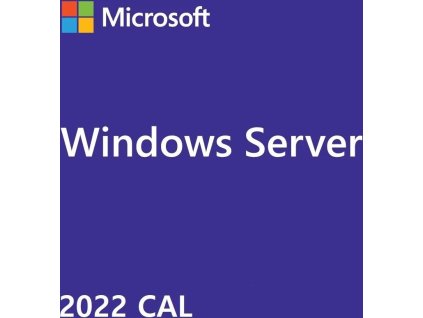 Windows Server CAL 2022 ENG 5 Clt User CAL OEM